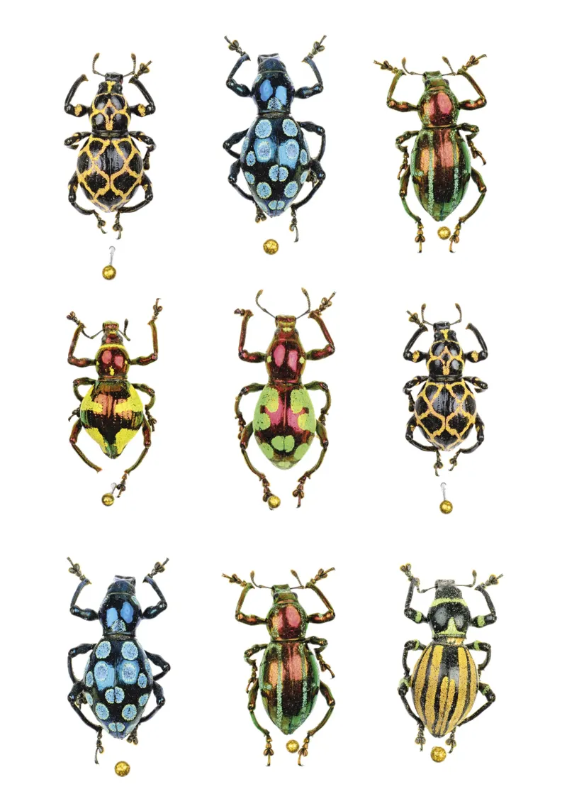 Winzige Schätze: Glänzend bunte Käfer Hahnemühle von Curious Collections by Marielle Leenders