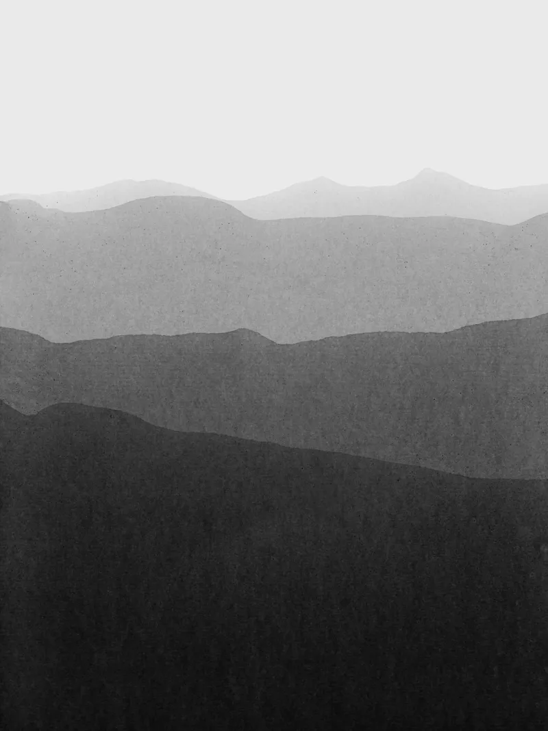 gradient landscape greyscale plexiglass da IRIS LEHNHARDT FINE ART