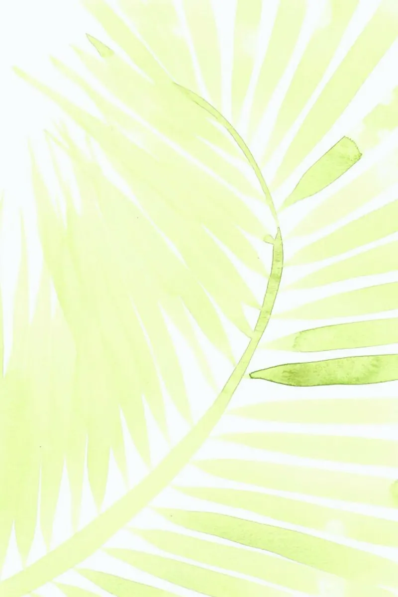 Palm III pellicola backlit da Kristen Polsinelli