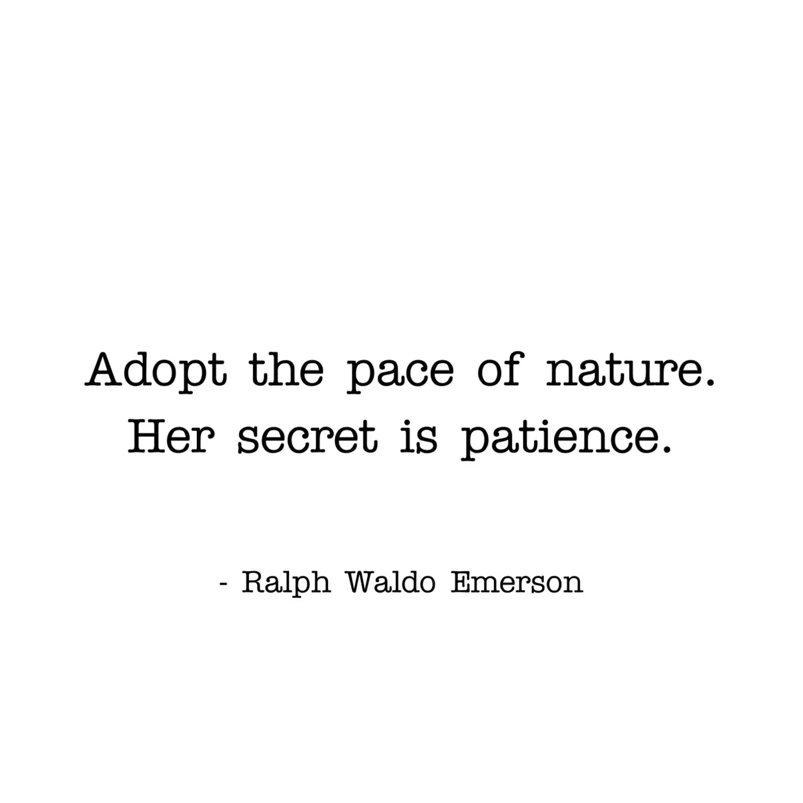 Adopter le rythme de la nature citation hahnemühle de Paigaam Studio