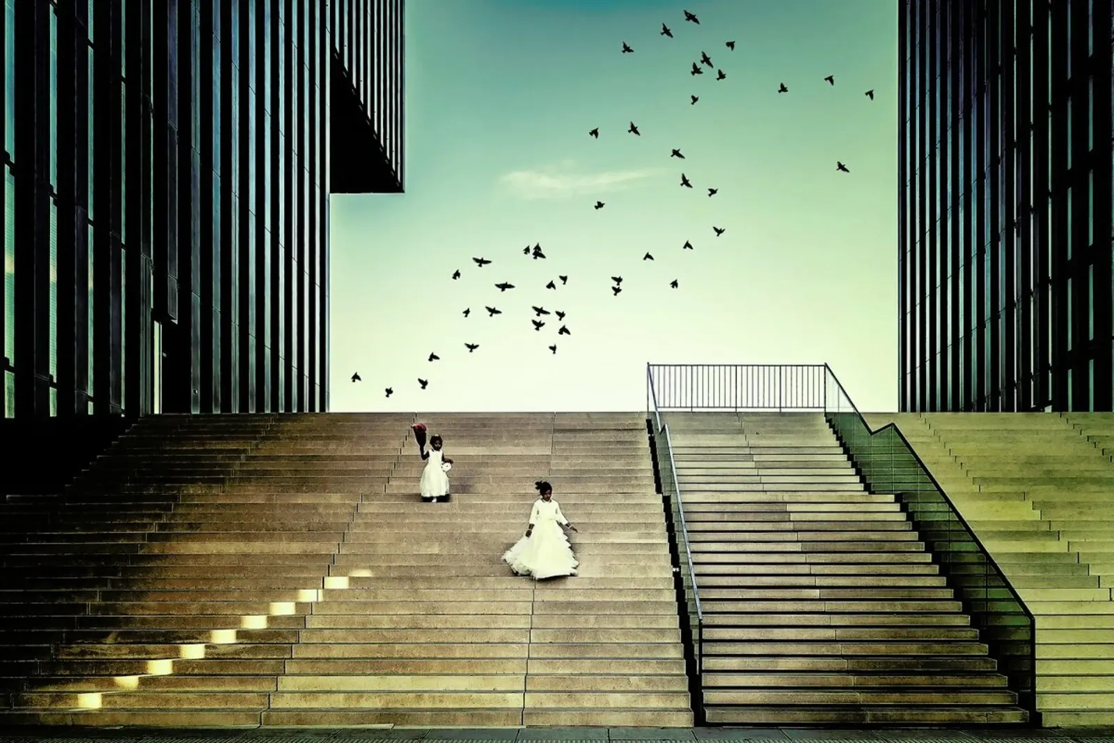 Free Like A Bird... - Dennis Mohrmann carta hahnemühle da Pictufy