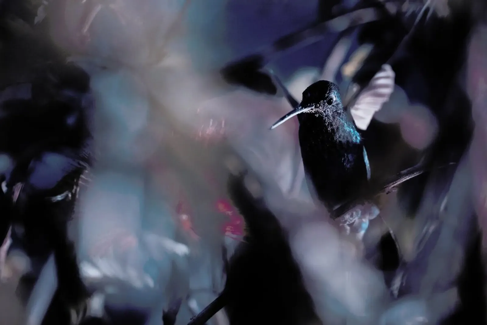 50 Hz - Fabien Bravin plexiglass da Pictufy