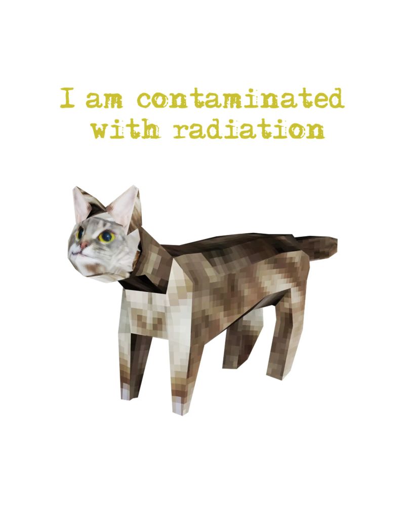 Ich bin mit Strahlung kontaminiert Funny Meme Art Design Poster von theganduls