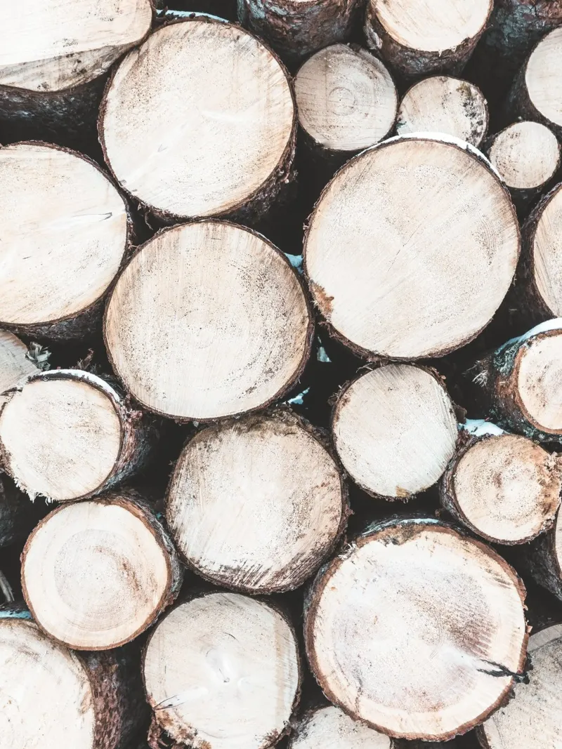 Rustic woodpile art - nature design for the home canvas with Floater frame by Whole©