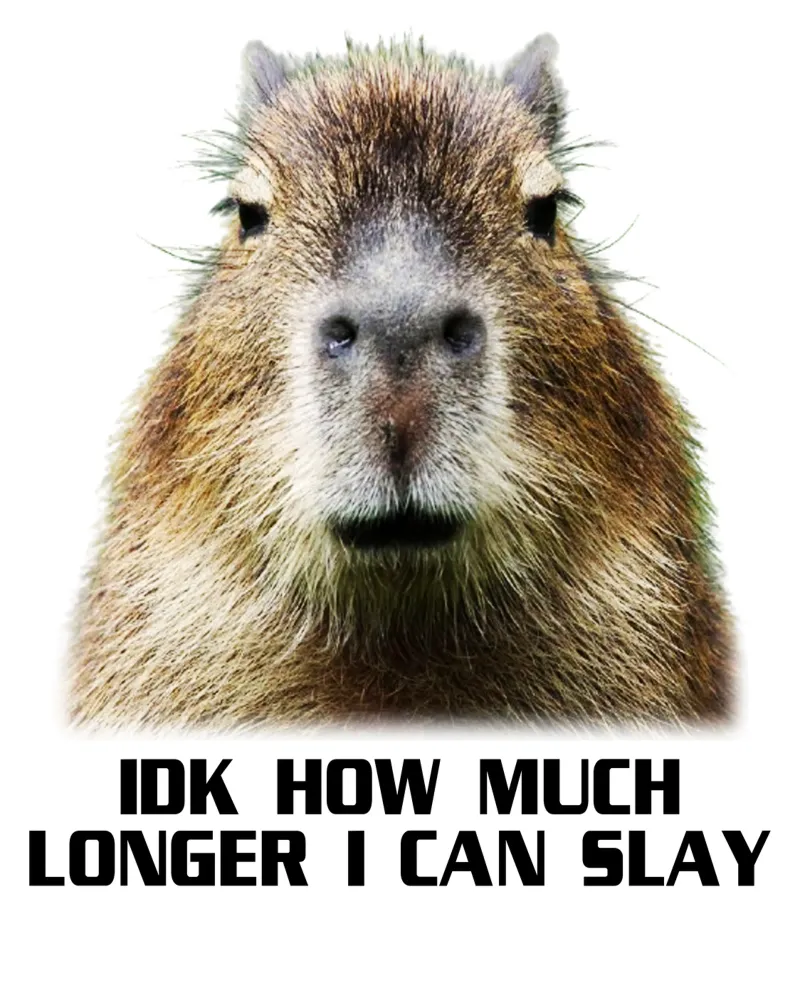 Idk How Much Longer I Can Slay Capybara Sarcastisch grappig canvas van theganduls