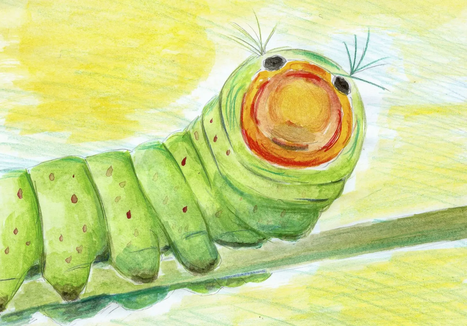 Il bruco Lucy alluminio dibond da Barbara Buderath Illustrationen