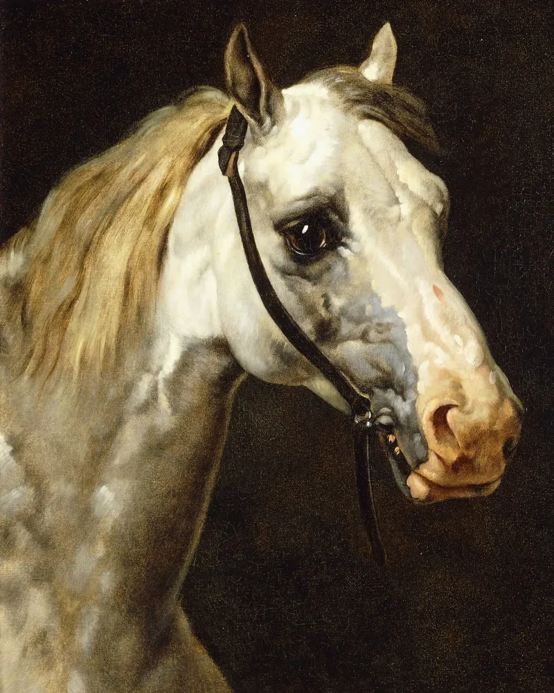 Théodore Géricault - Testa di cavallo pavone tela con Cornice a cassetta da ARTOTHEK
