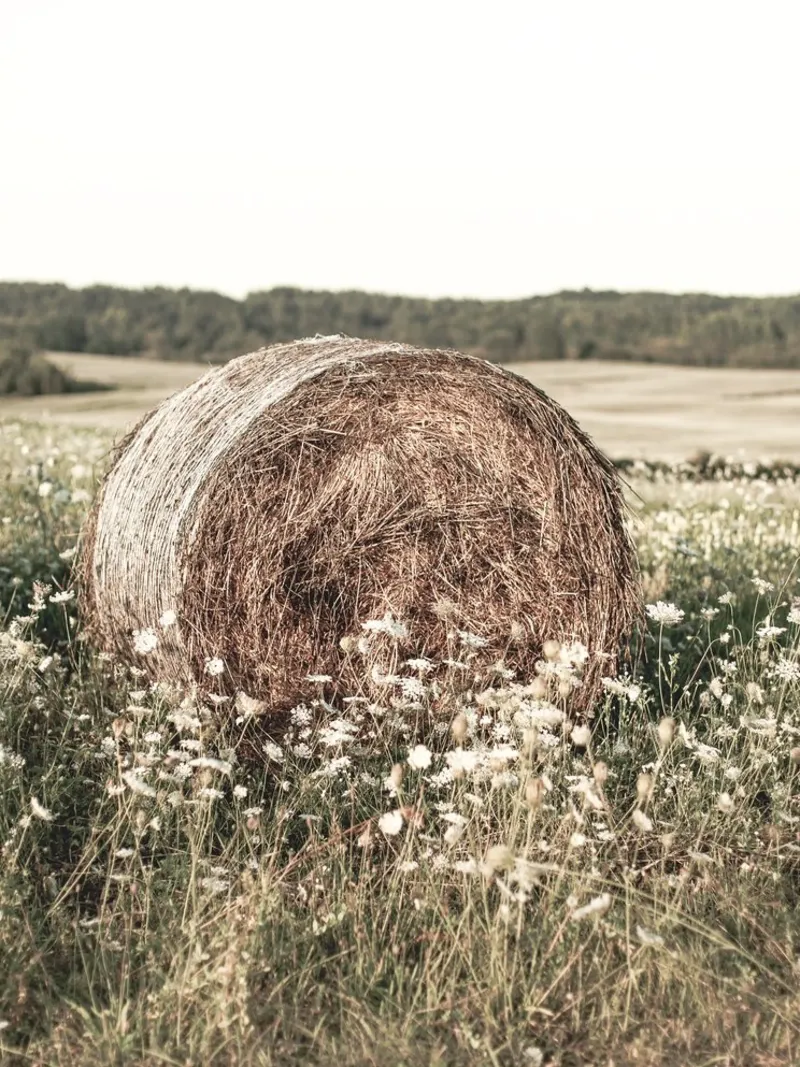 Rural hay bale nature wall art - Rustic field motif canvas with Floater frame by Whole©
