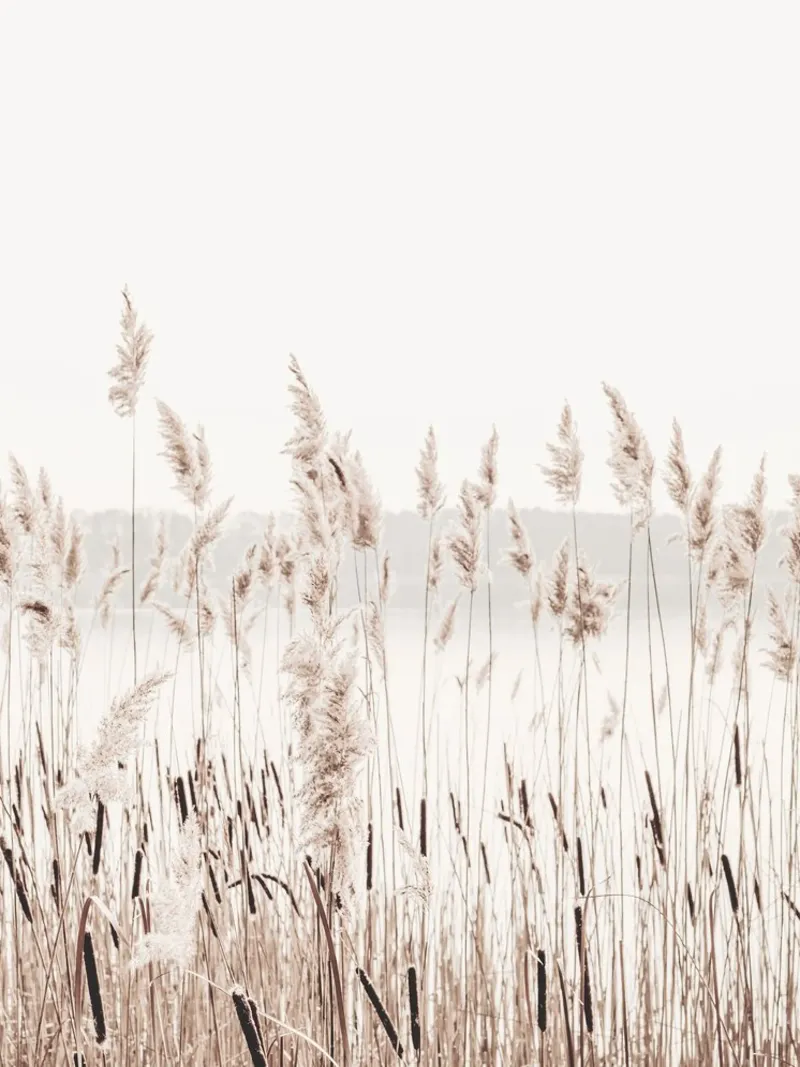 Rietvelden bij het meer - natuurlijke rust in een moderne stijl canvas met Baklijst van Whole©