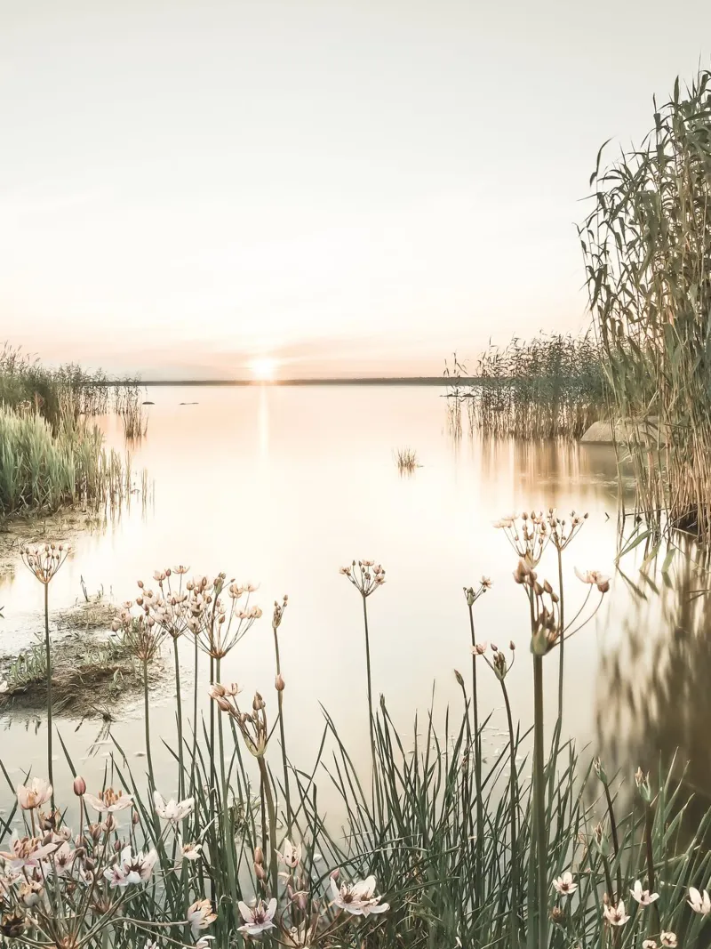 Lago calmo al tramonto - Fotografia naturalistica alluminio dibond da Whole©