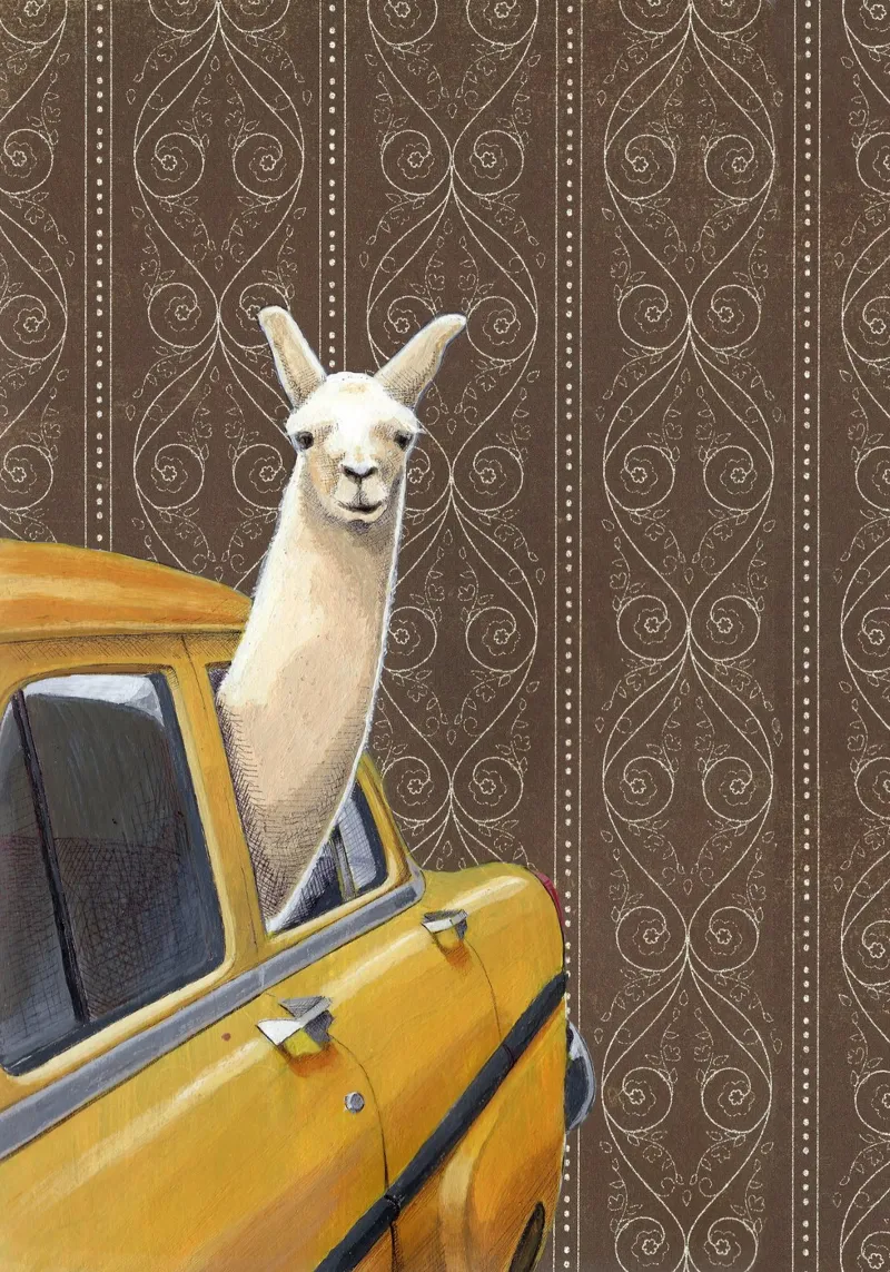 Taxi Llama poster with plastic frame by Jason Ratliff