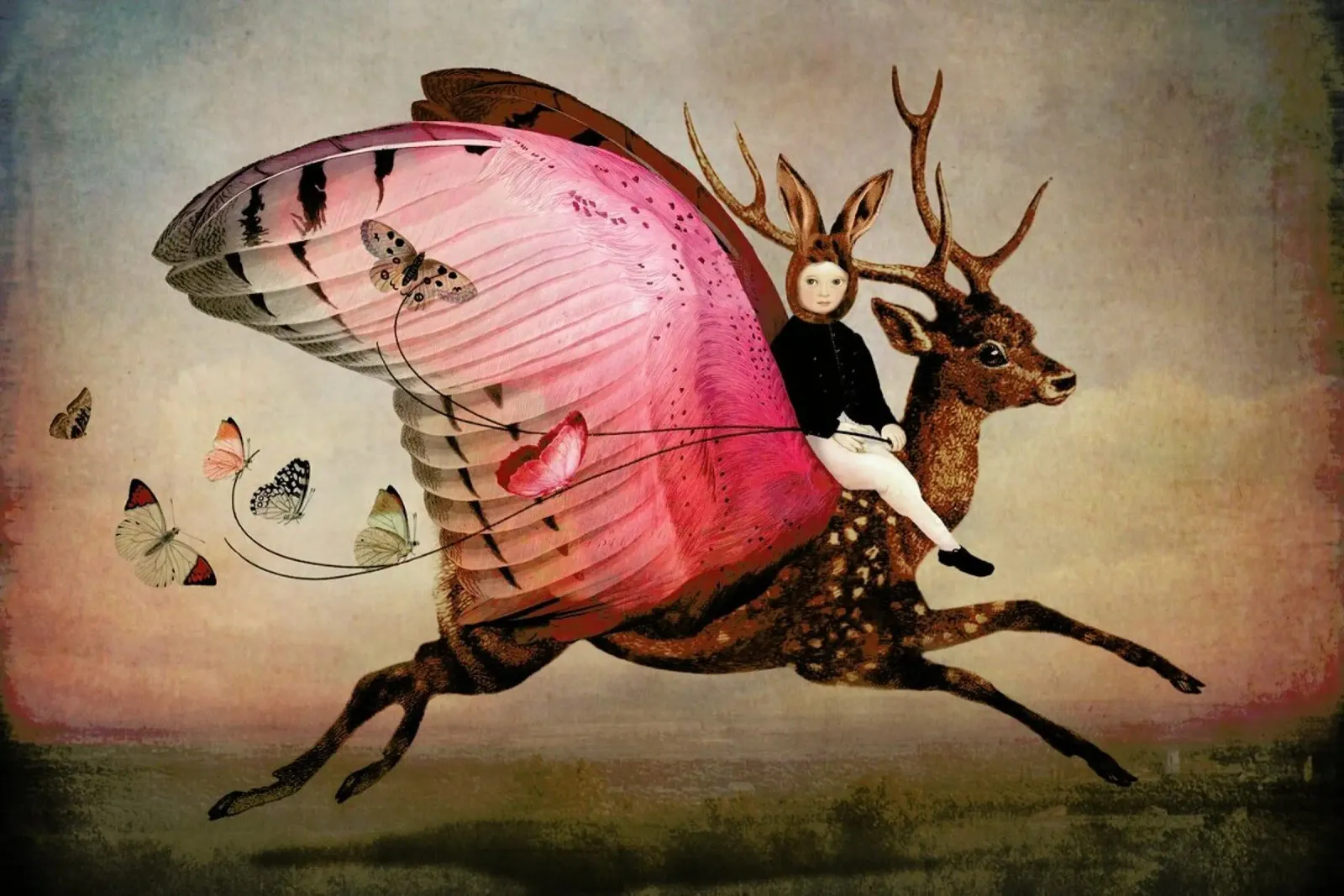Enjoy The Ride pellicola backlit da Catrin Welz-Stein