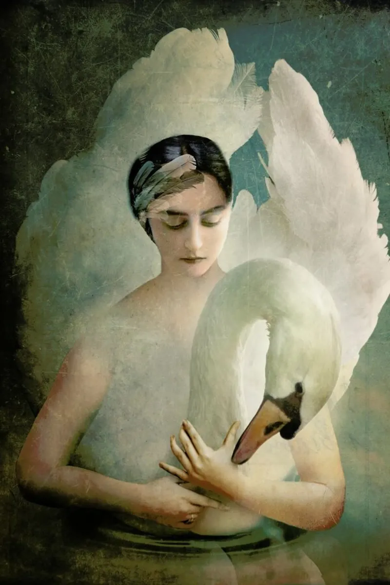 Odette pellicola backlit da Catrin Welz-Stein