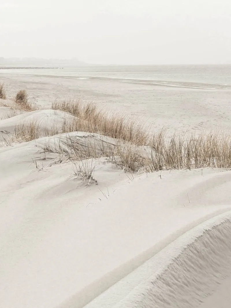 Delicate dune sulla spiaggia - un paesaggio costiero rilassante carta hahnemühle da Whole©