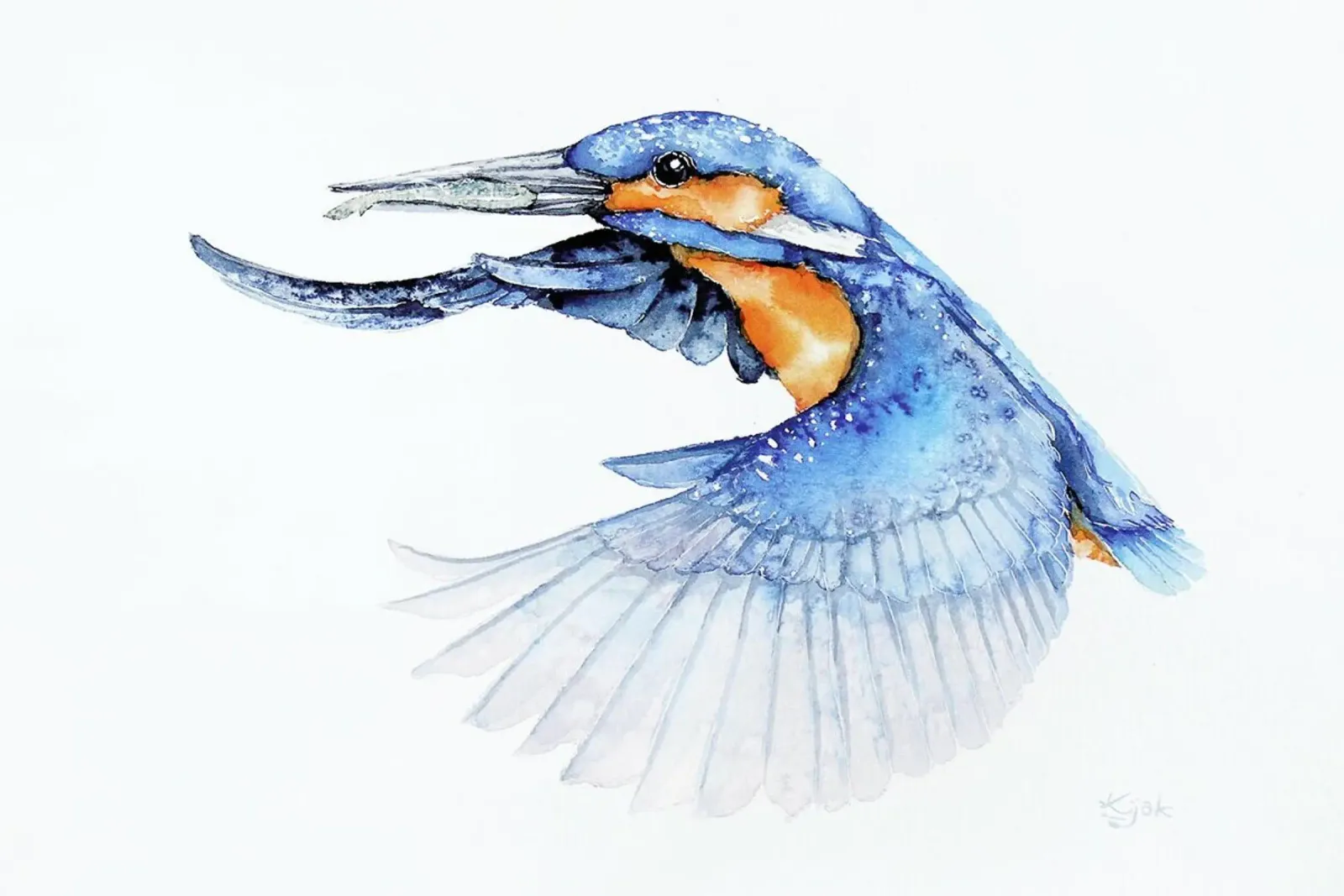 Kingfisher carta hahnemühle da Karolina Kijak