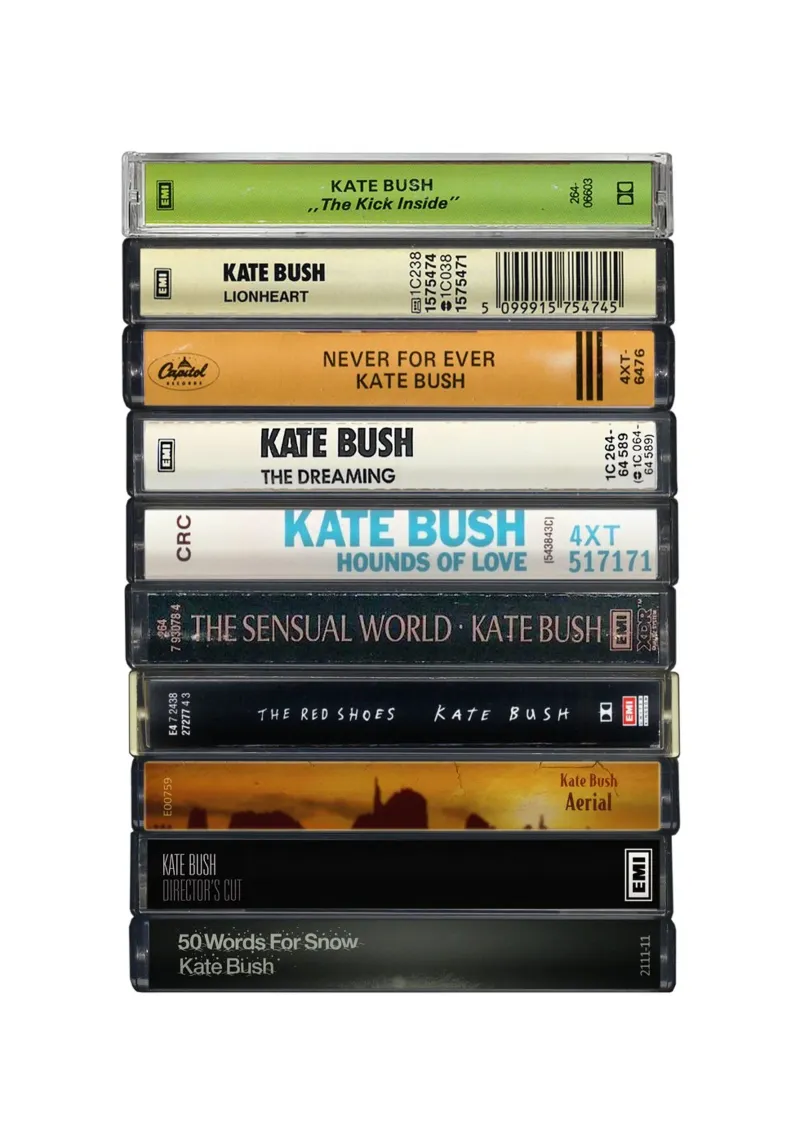 Kate Bush - Album raccolti - Stampa su cassetta poster con telaio in legno da MrMustardPrints
