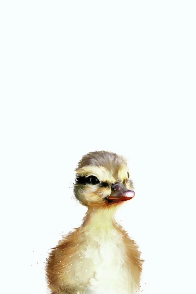 Little Duck pellicola backlit da Amy Hamilton