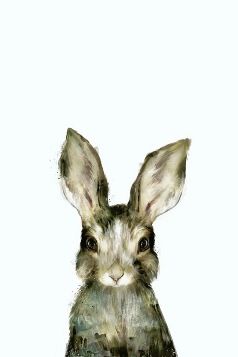 Little Rabbit poster by Amy Hamilton