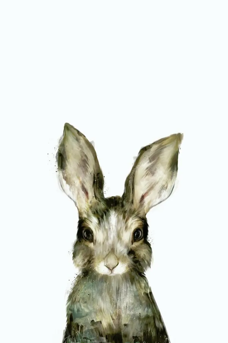 Little Rabbit poster by Amy Hamilton