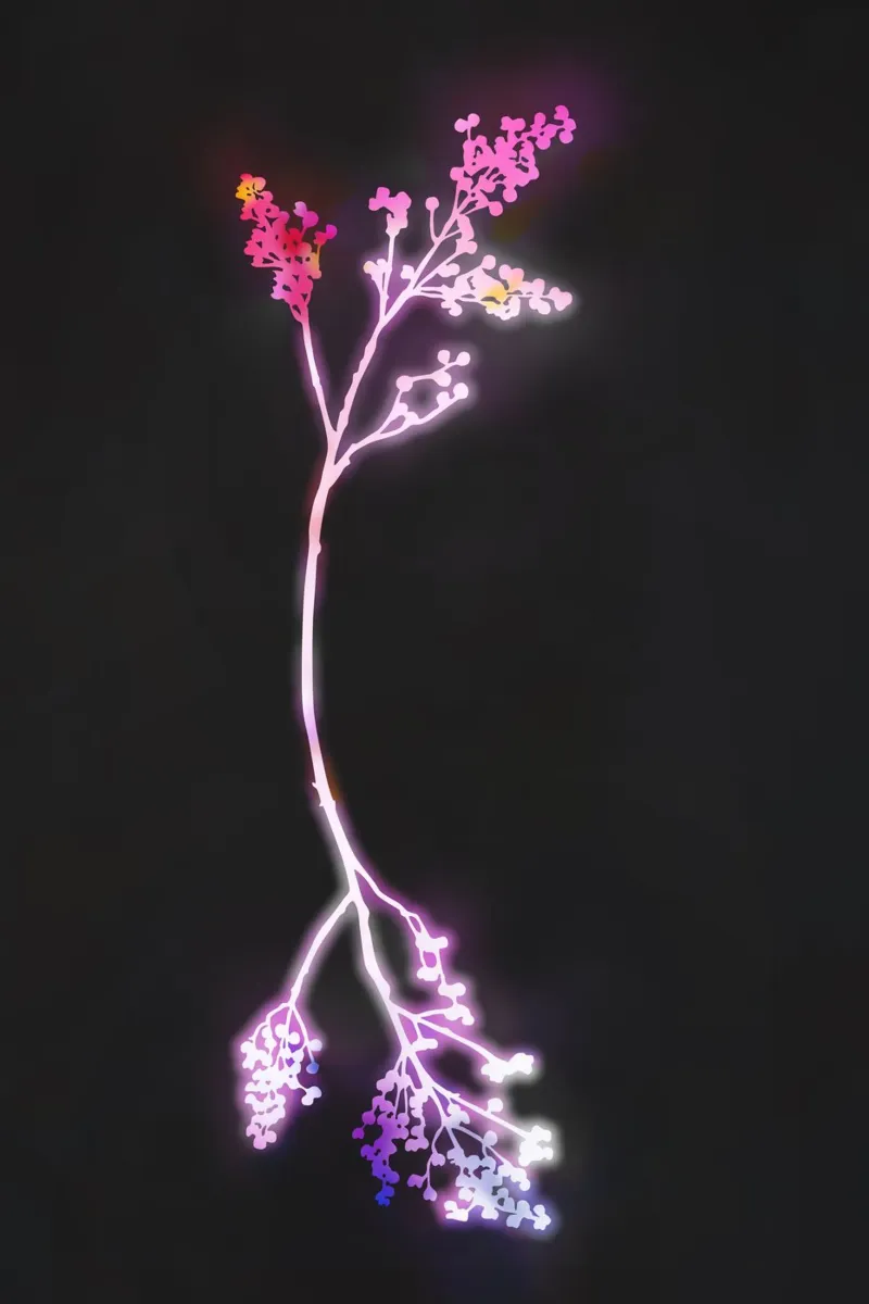 Florescenza Fuschia pellicola backlit da amini54