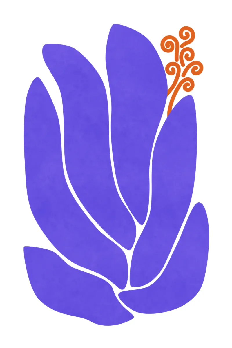 Leliebloem canvas met Baklijst van amini54