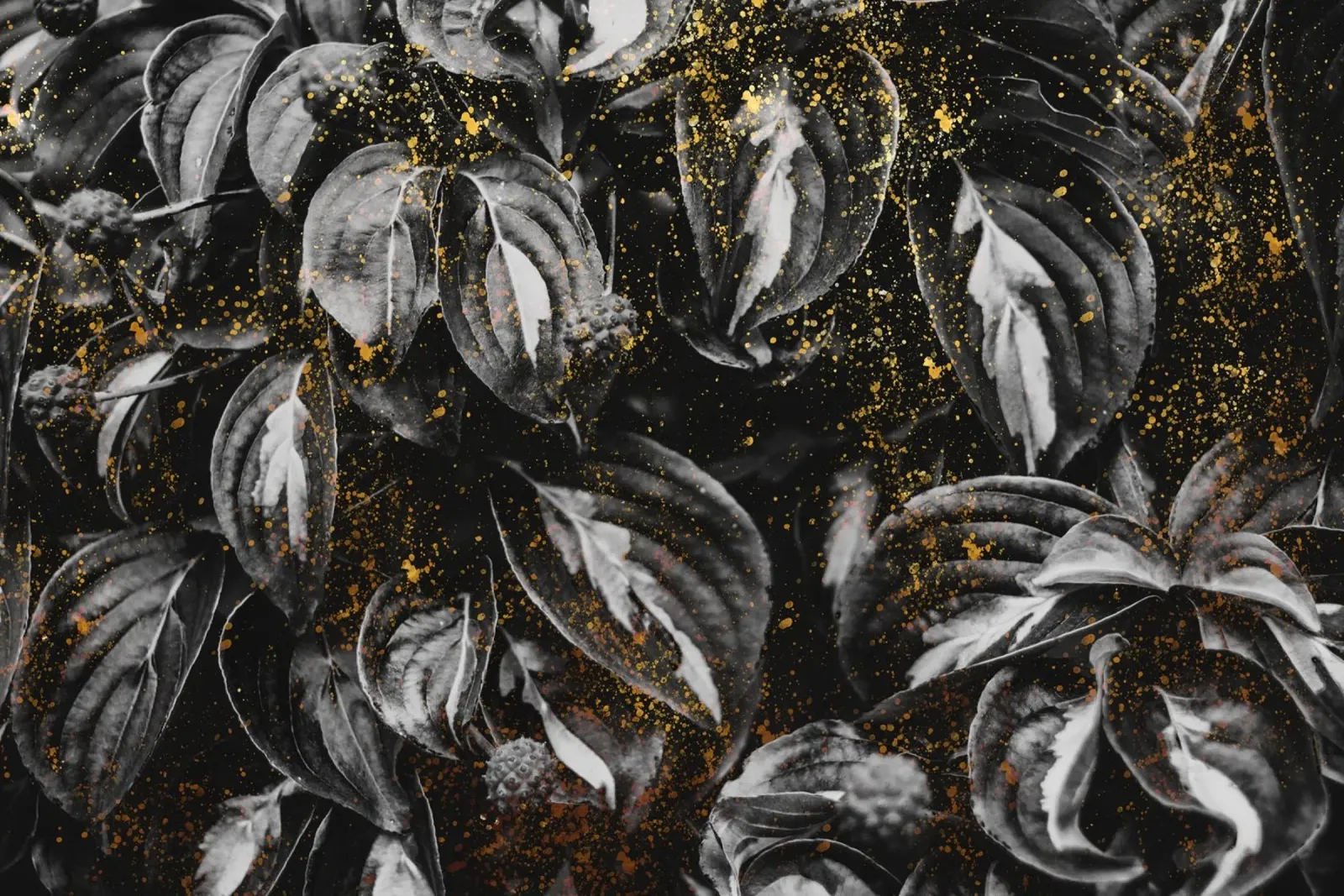 Black Leaves and Gold pellicola backlit da IndigoBird