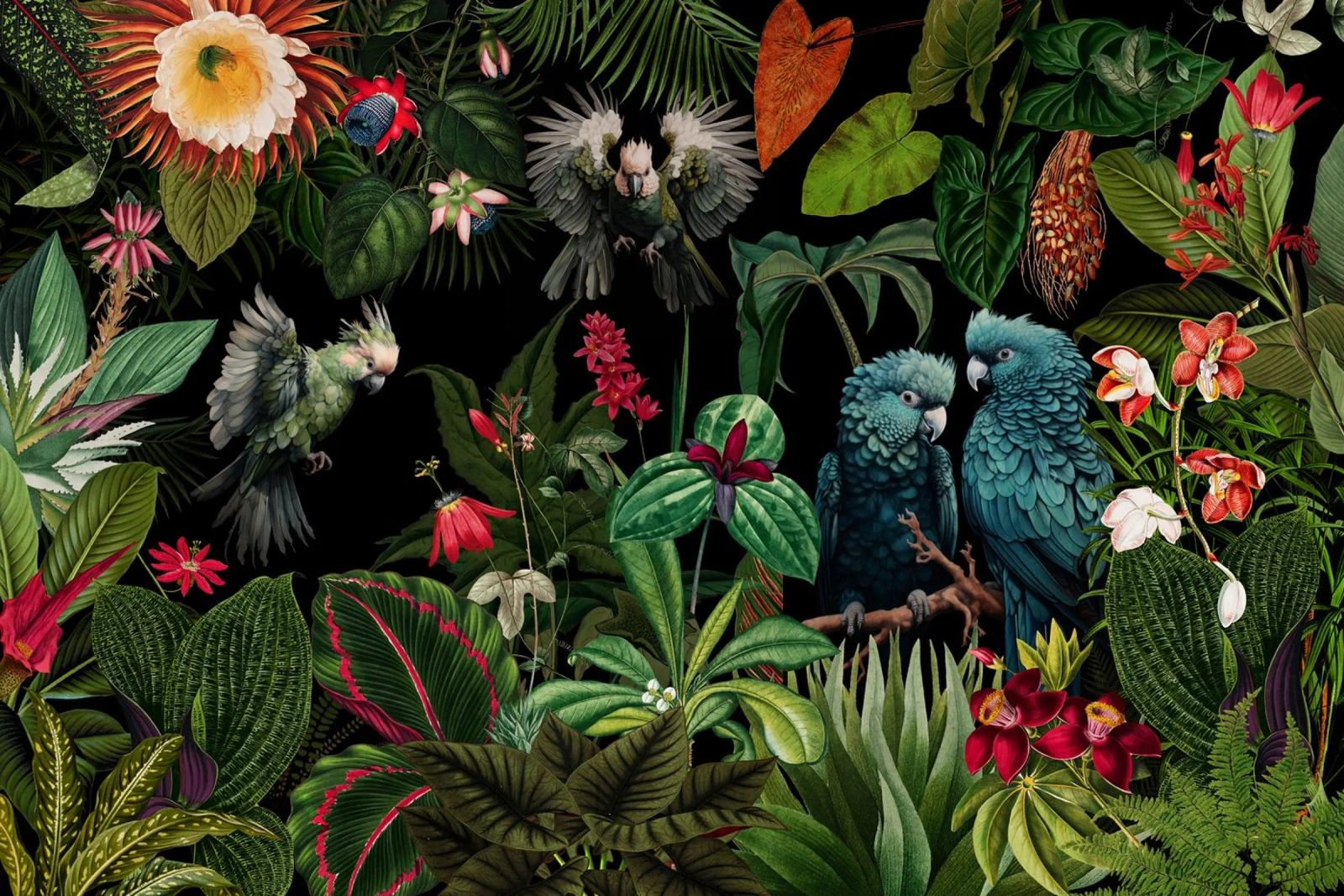 Vintage Midnight Tropical Jungle With Exotic Birds (Jungle tropicale avec oiseaux exotiques) poster de Vintage World - Uta Naumann