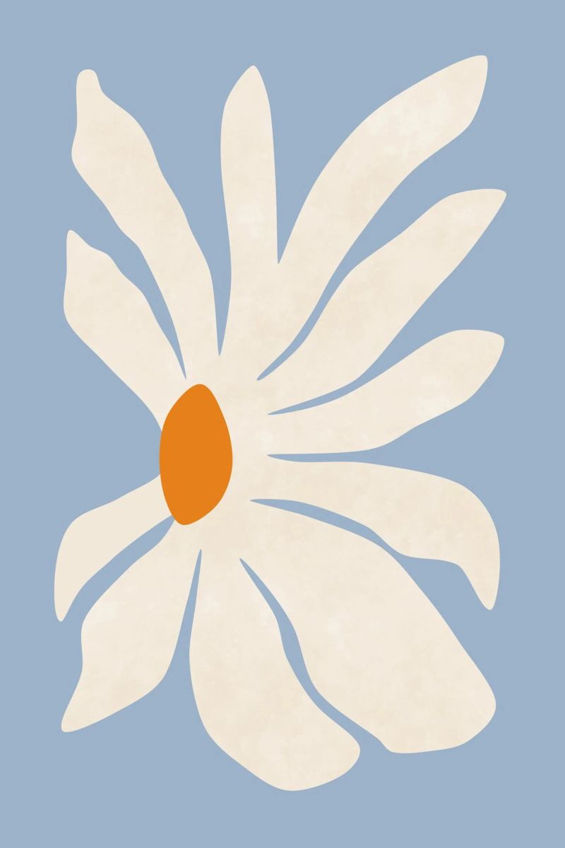 Gerbera Flower poster by amini54