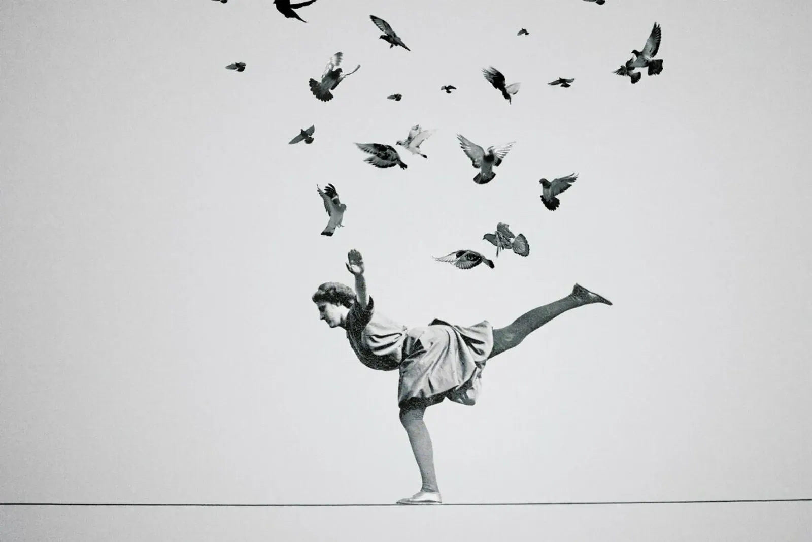 Birds Of A Feather carta hahnemühle da Jason Brueck