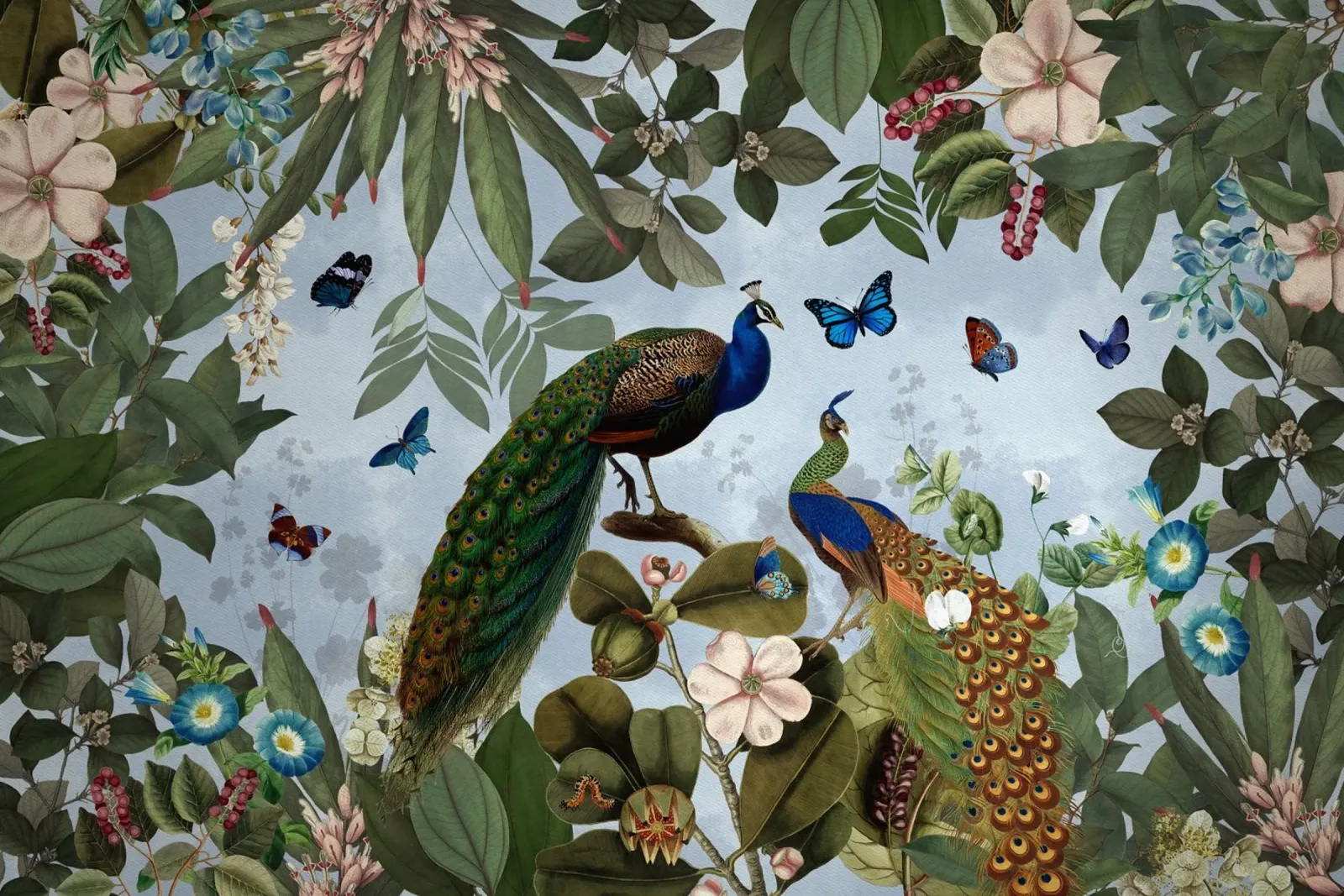 Fiore di pavone esotico d'epoca Giungla selvaggia poster da Vintage World - Uta Naumann