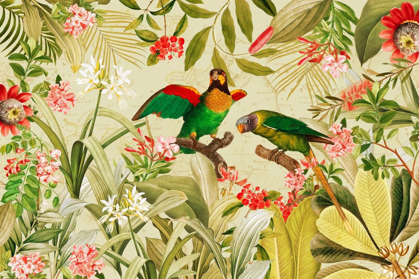 Perroquets exotiques colorés et nostalgiques dans une jungle tropicale poster de Vintage World - Uta Naumann