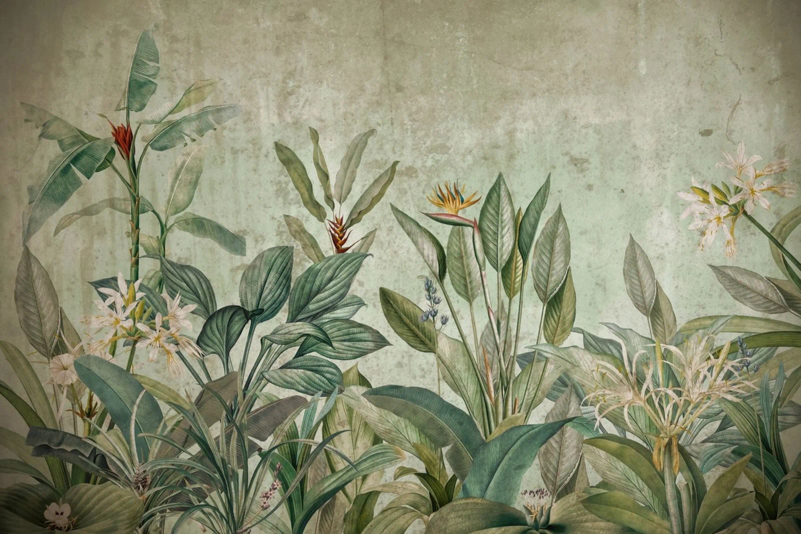 Vintage Tropical Jungle Greenery Landscape poster de Vintage World - Uta Naumann