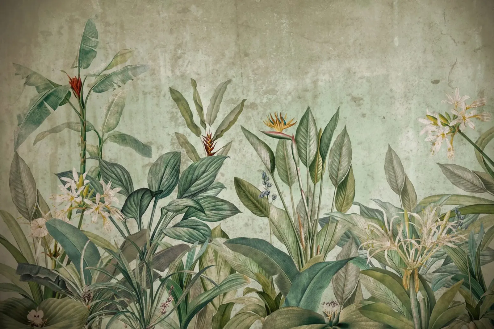 Vintage Tropical Jungle Greenery Landscape tela con Cornice a cassetta da Vintage World - Uta Naumann