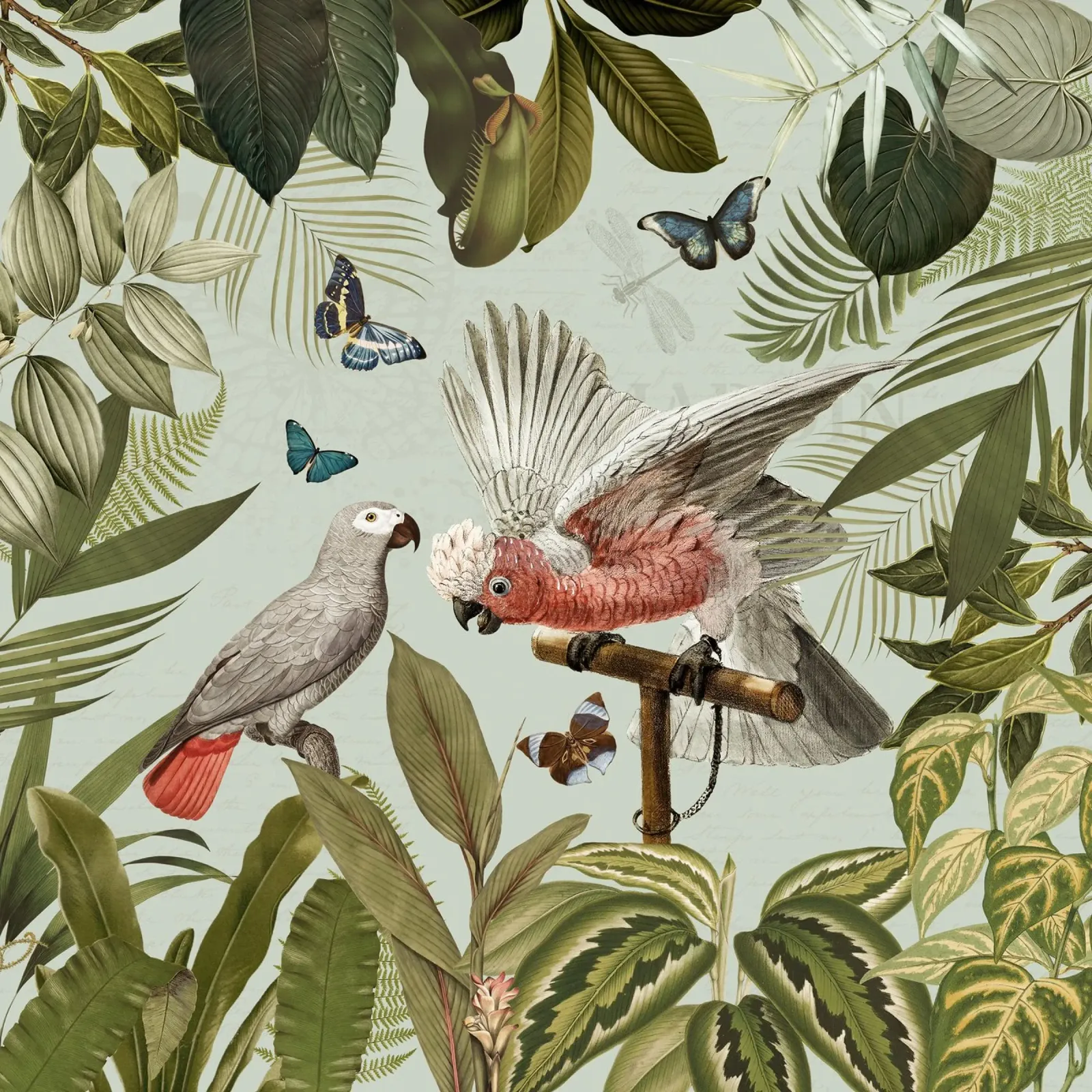 Nostálgicos loros tropicales luchan en un paisaje selvático metacrilato de Vintage World - Uta Naumann