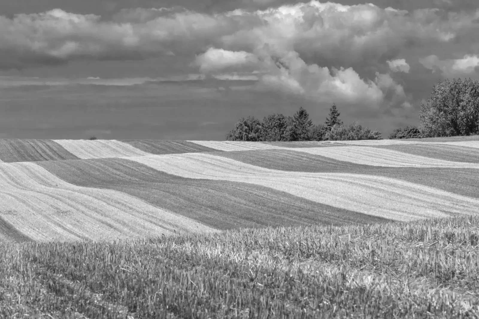 Stubble fields 2 canvas by Barbara Buderath Fotodesign