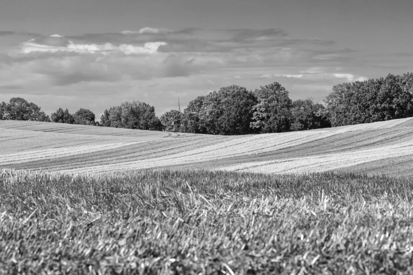 Stubble fields 3 canvas by Barbara Buderath Fotodesign