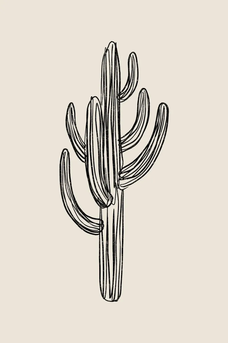 Gatti e puntini - Cactus nero pellicola backlit da The Artcircle