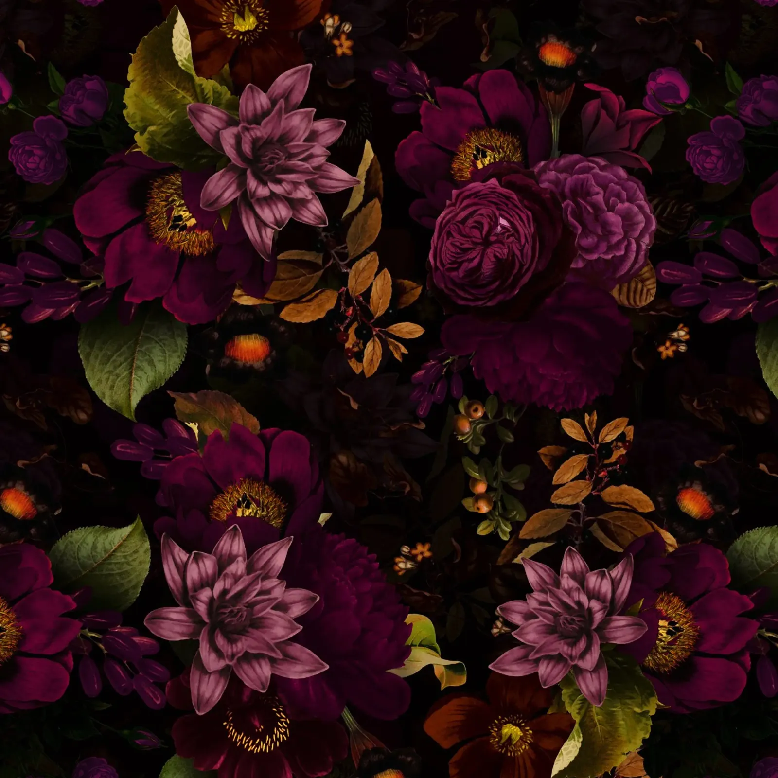 Drammatico roseto borghese di mezzanotte plexiglass da Flower Garden - Uta Naumann