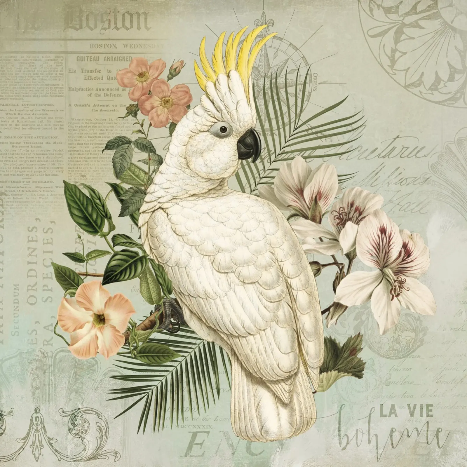 Nostalgia del cacatua d'epoca pellicola backlit da Andrea Haase Vintage World
