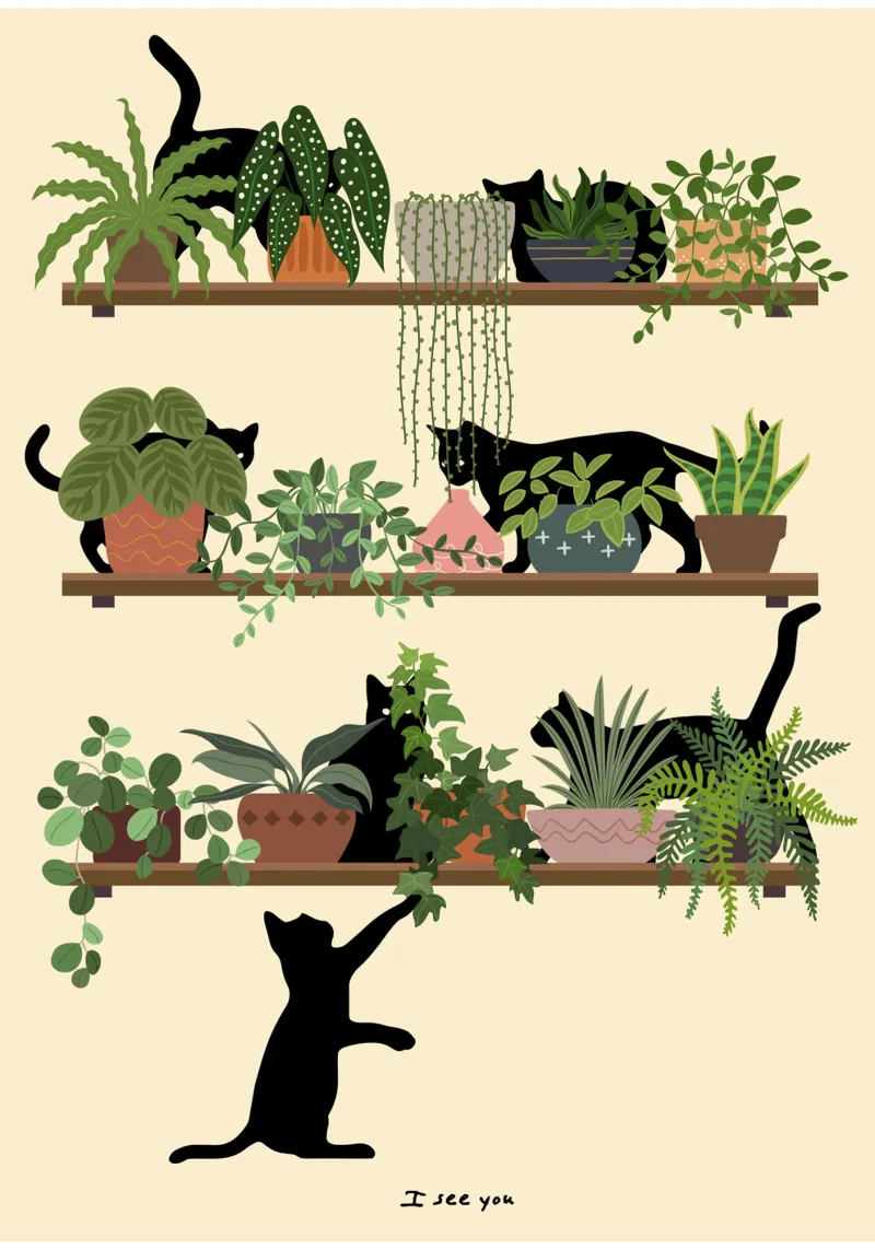 Cats & Plants - Cat Lover Gift alu-dibond by Mashtup
