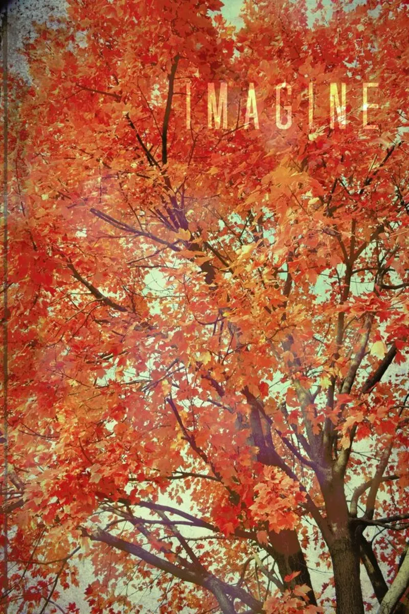 Imagine pellicola backlit da Robin Delean