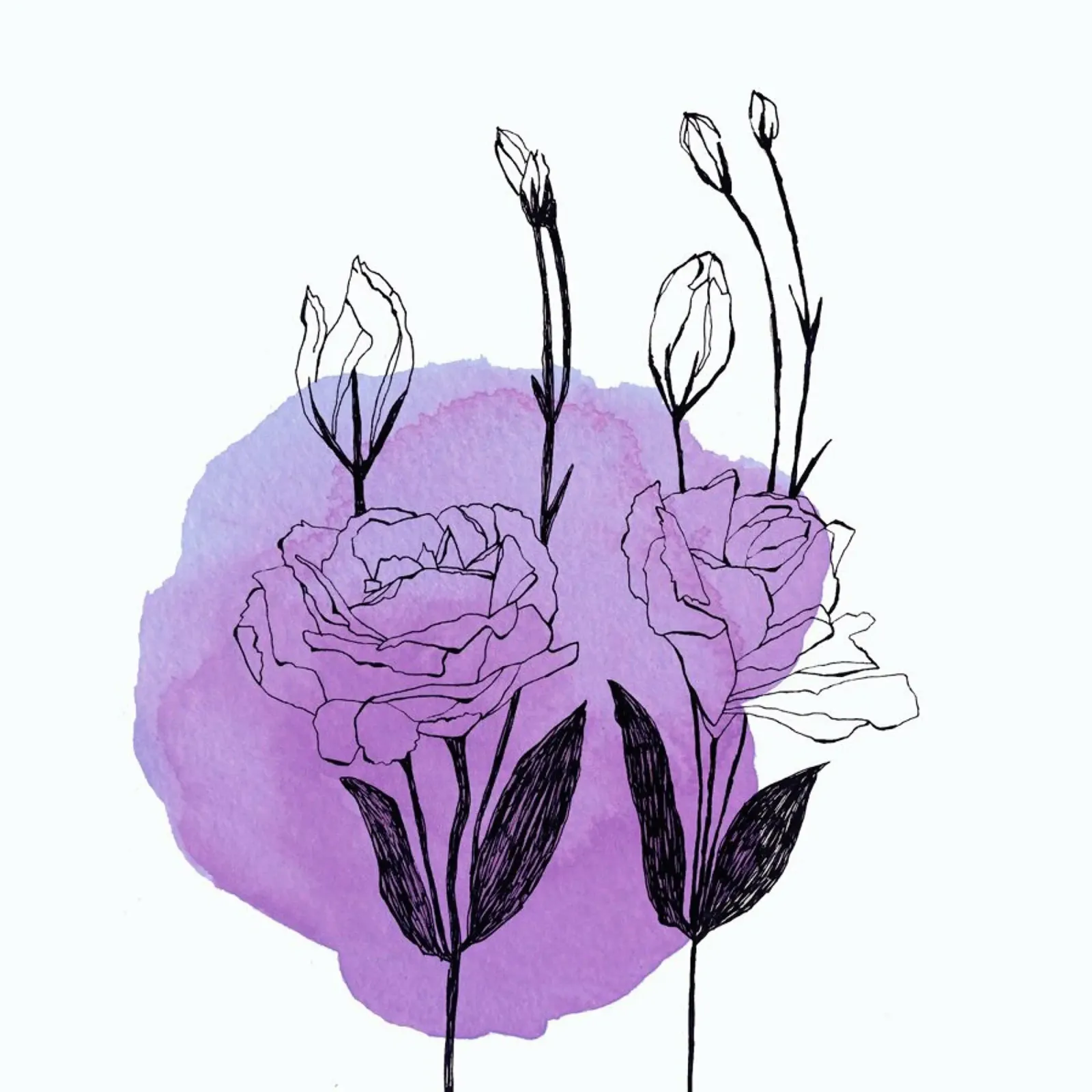 Lisianthus pellicola backlit da Morgan Kendall