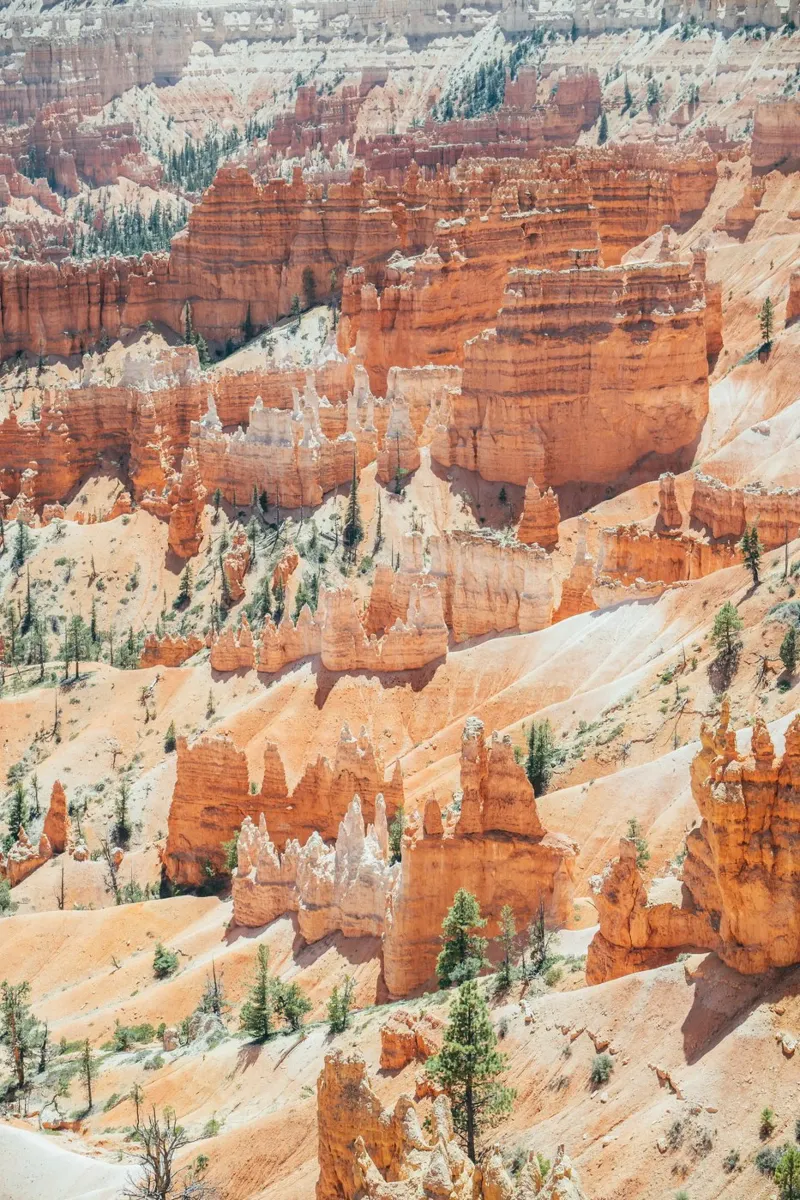 Bryce Canyon pellicola backlit da patiphotography