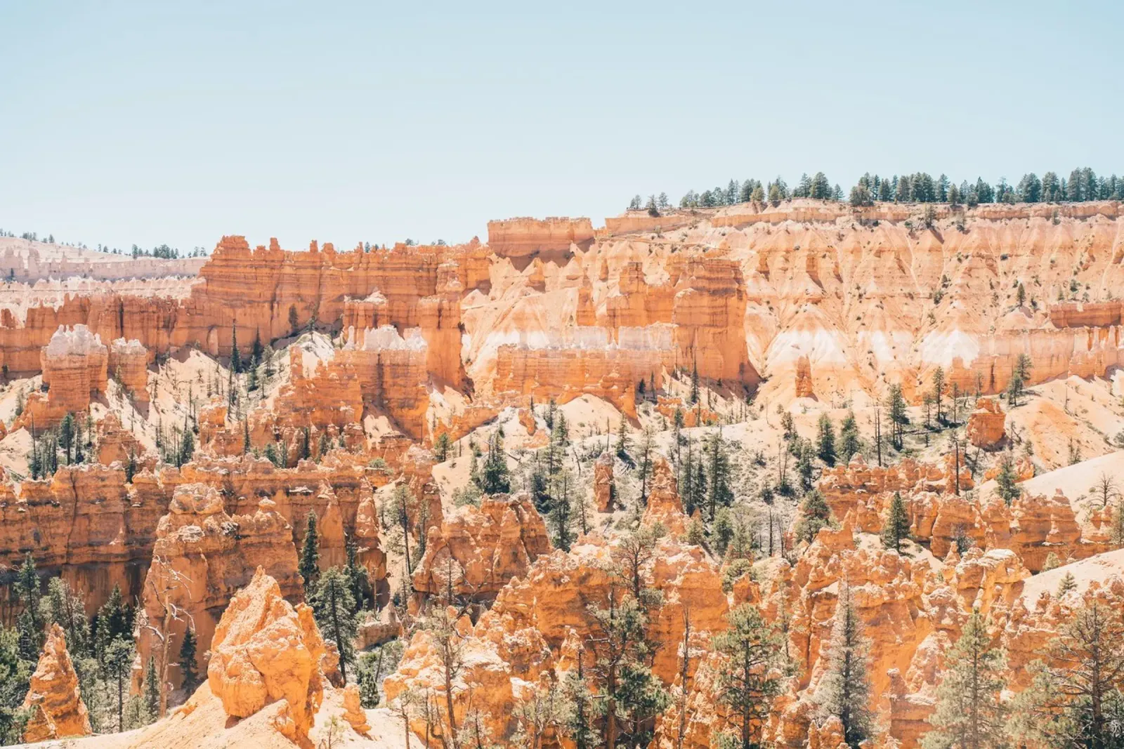 Bryce Canyon National Park pellicola backlit da patiphotography
