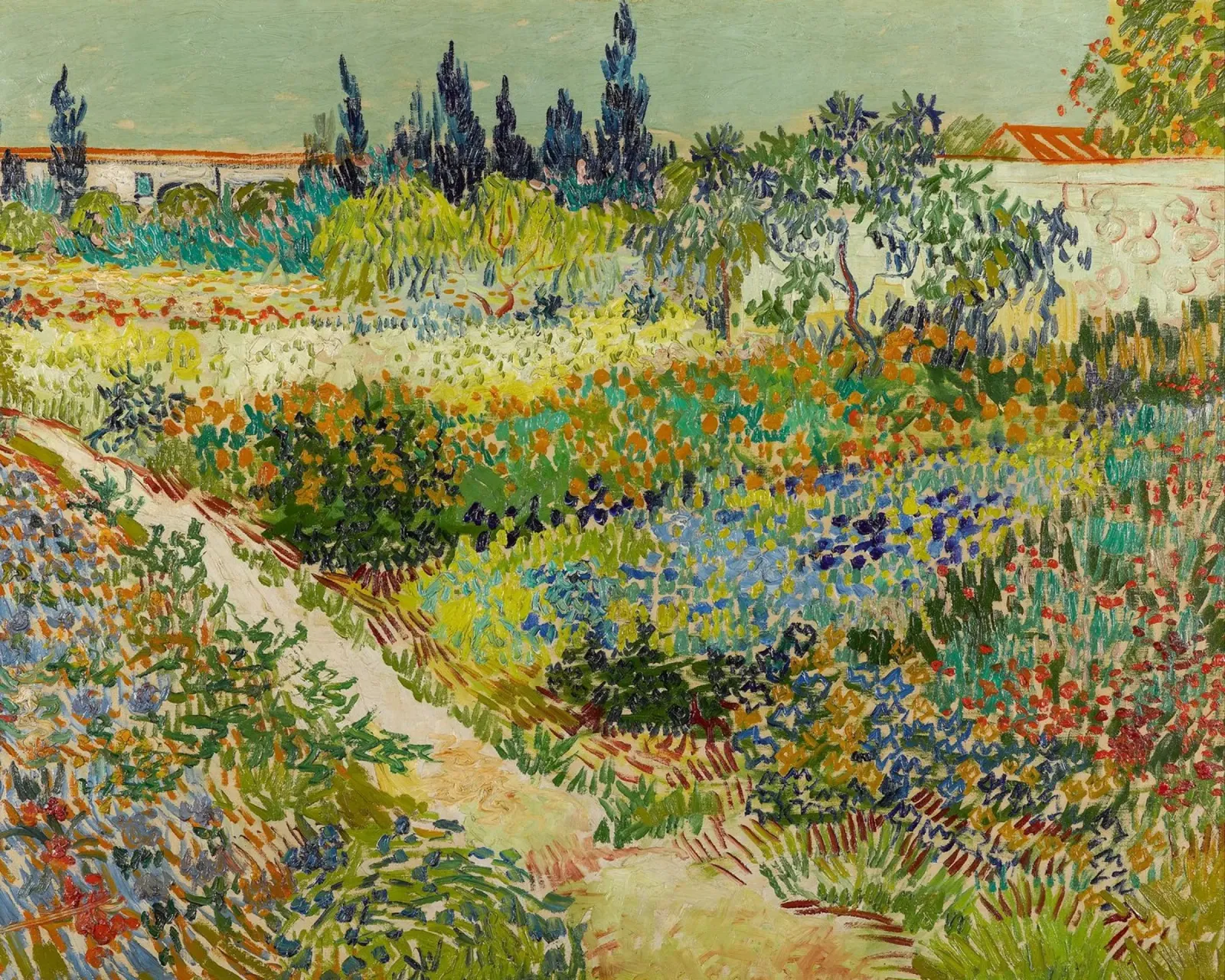 Giardino Van Gogh ad Arles pellicola backlit da Carinaprint