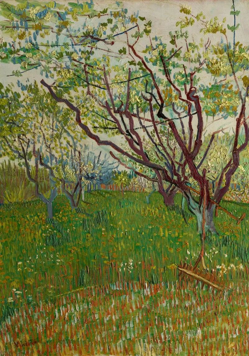 van Gogh frutteto in fiore pellicola backlit da Carinaprint