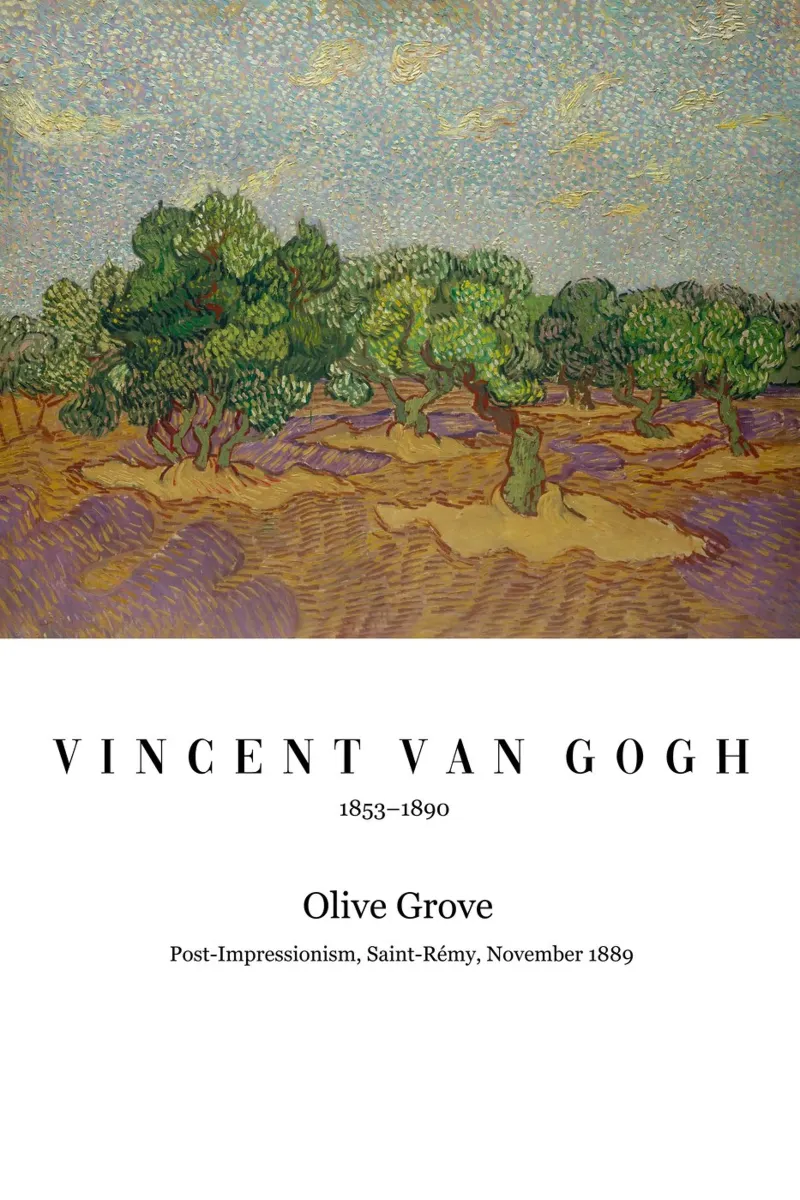 Vincent van Gogh - Olivenbäume poster da Carinaprint