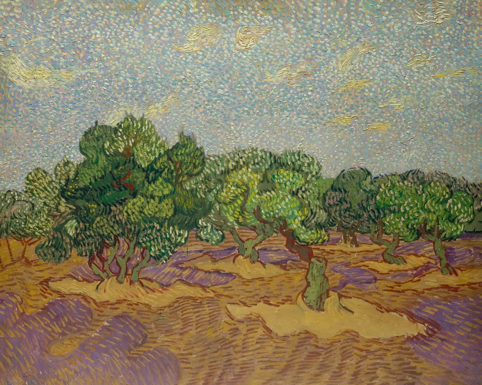 Vincent van Gogh Olivenbäume plexiglass da Carinaprint