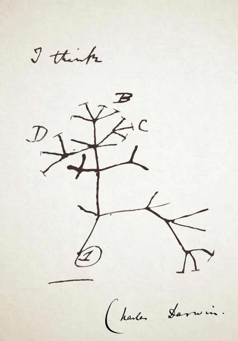 Charles Darwin - Ich denke Poster - Biologie Geschenkidee Poster mit Holzrahmen von Mashtup