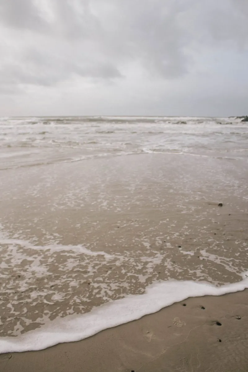 Sea Foam pellicola backlit da The Wild Creative Studio